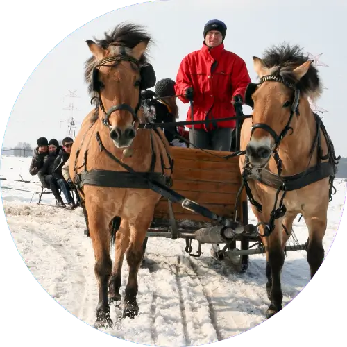 Kuligi firmowe w Wielkopolsce