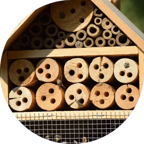 budujemy-domki-dla-pszczół-imprezy integracyjne-Poznań